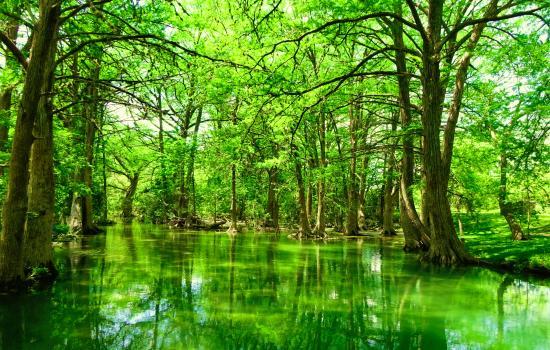 Blue Hole Regional Park